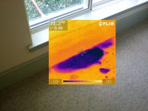 Hidden Water Damage